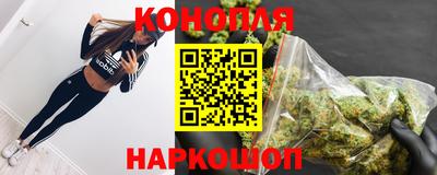 скорость Бердск