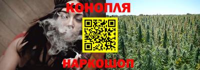 скорость Бердск